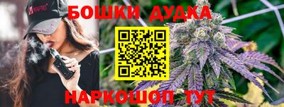 jwh Партизанск