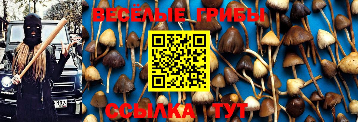 Галлюциногенные грибы Cubensis Печора